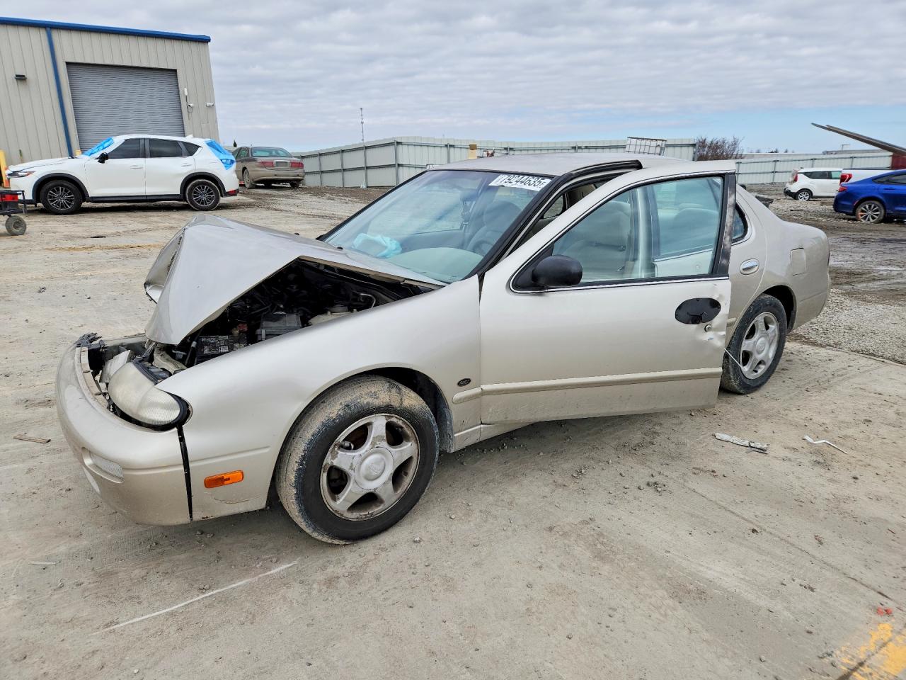 1997 Nissan Altima XE, VIN 1N4BU31D7VC150523 — Front end