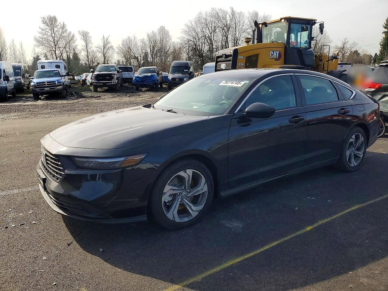 2025 Honda Accord Sport, VIN 1HGCY2F51SA039456 — Биологическое загрязнение