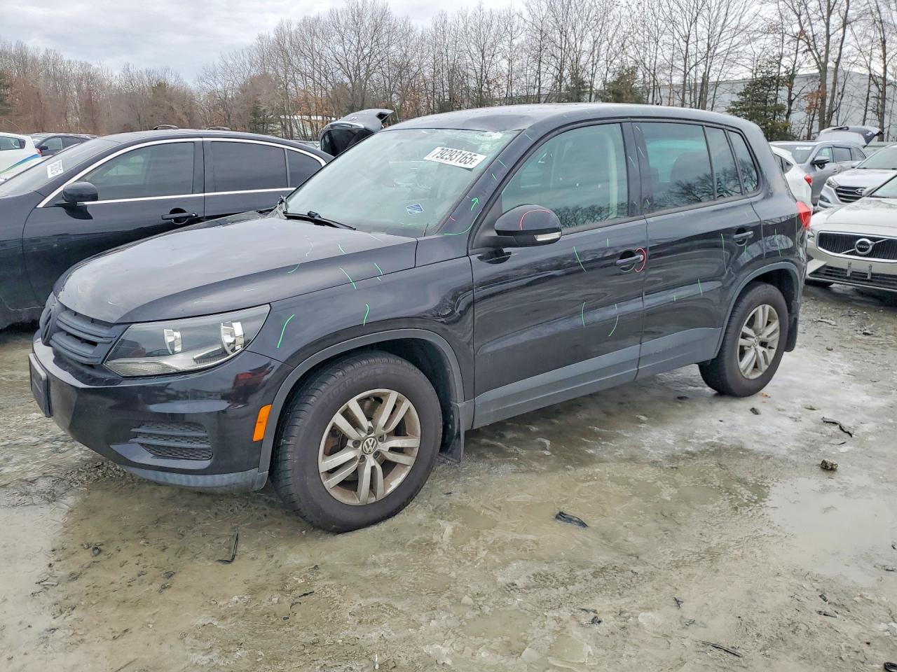 2013 Volkswagen Tiguan S, VIN WVGAV3AX3DW568969 — Roof
