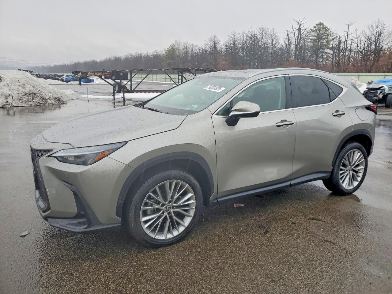 2025 Lexus NX 350 Premium, VIN 2T2GGCEZ2SC081249 — Side
