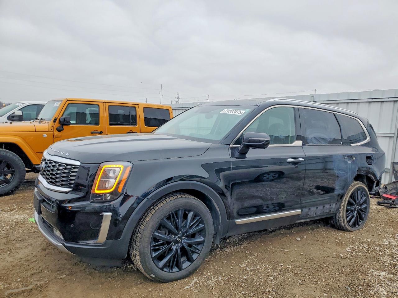 2020 Kia Telluride SX, VIN 5XYP5DHC9LG019280 — Rear end