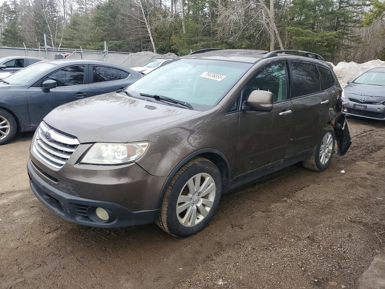2010 Subaru Tribeca Premium, VIN 4S4WX9FDXA4401341 — Rear end