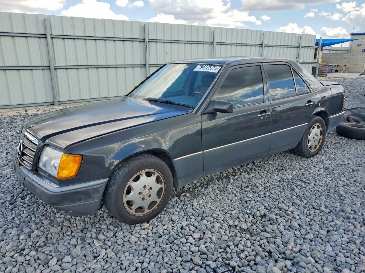 1992 Mercedes-Benz 400 E, VIN WDBEA34E6NB836142 — Rear end