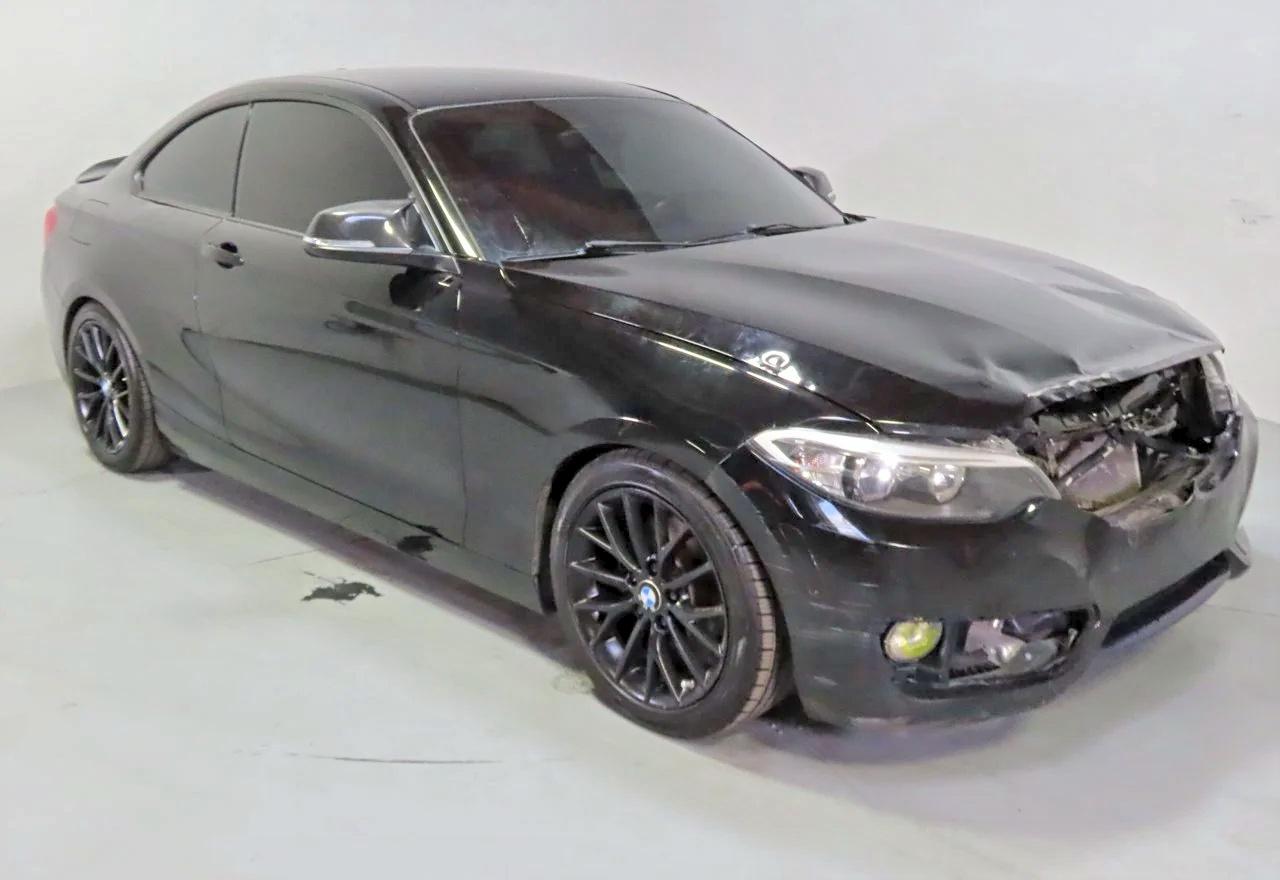 2016 BMW 2 Series 228i, VIN WBA1F9C54GV544669 — All over