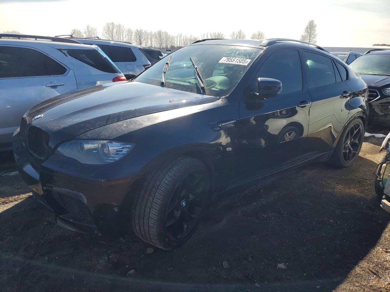 2012 BMW X6 M, VIN 5YMGZ0C5XCLL29682 — Перед