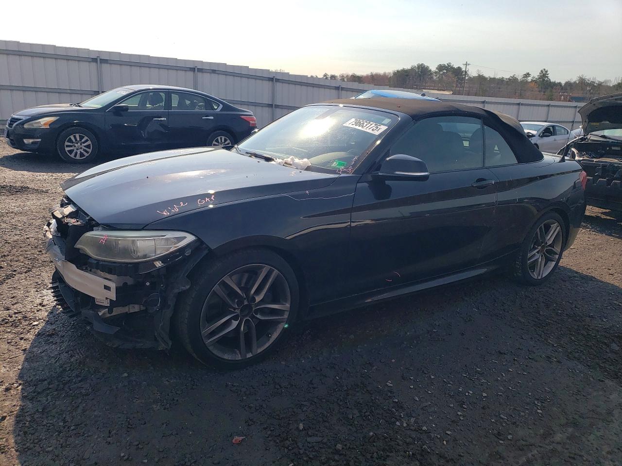 2015 BMW 2 Series 228i, VIN WBA1K5C50FV242542 — Front end