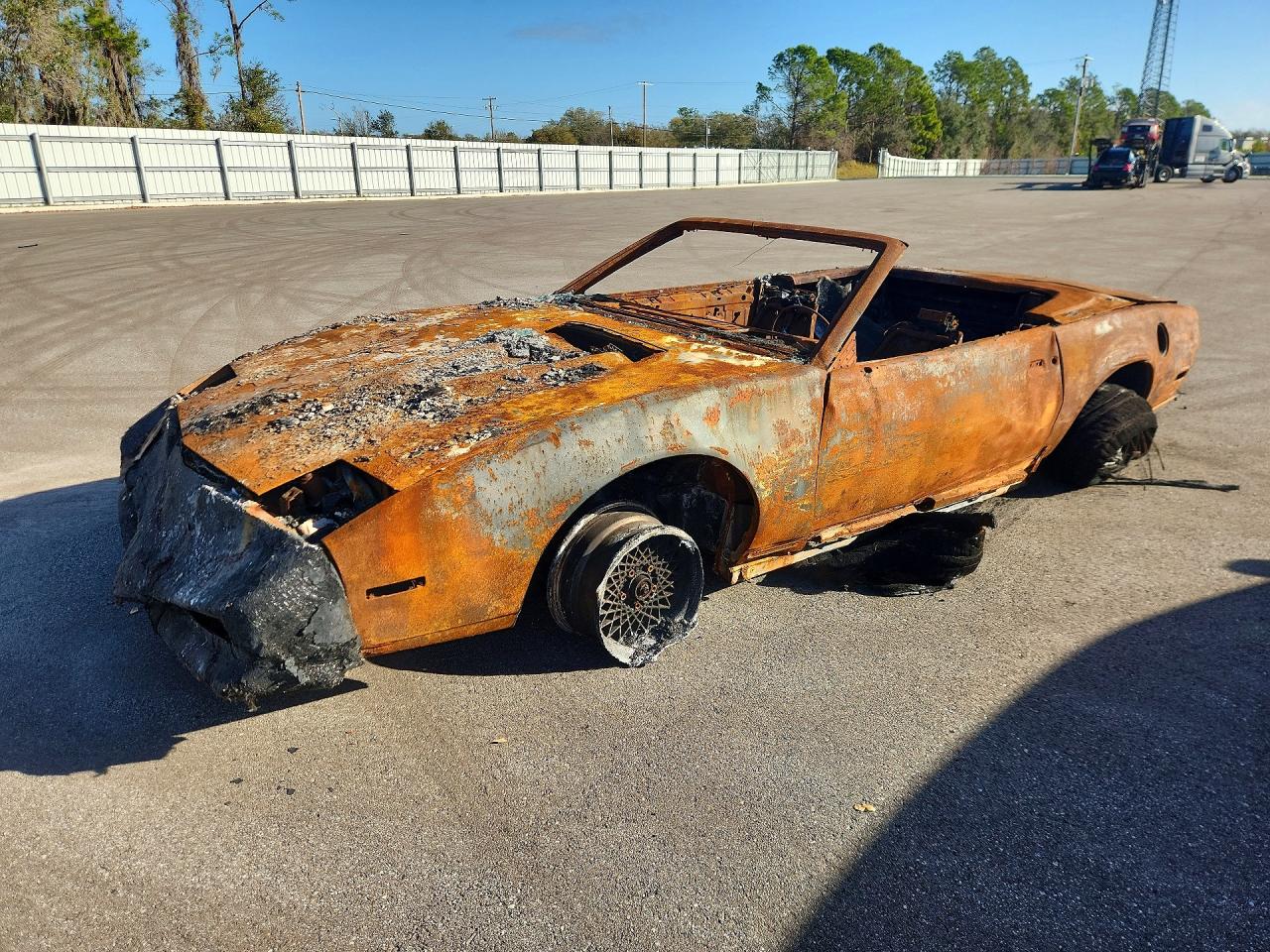 1992 Pontiac Firebird, VIN 1G2FW33F7NL206906 — Burn