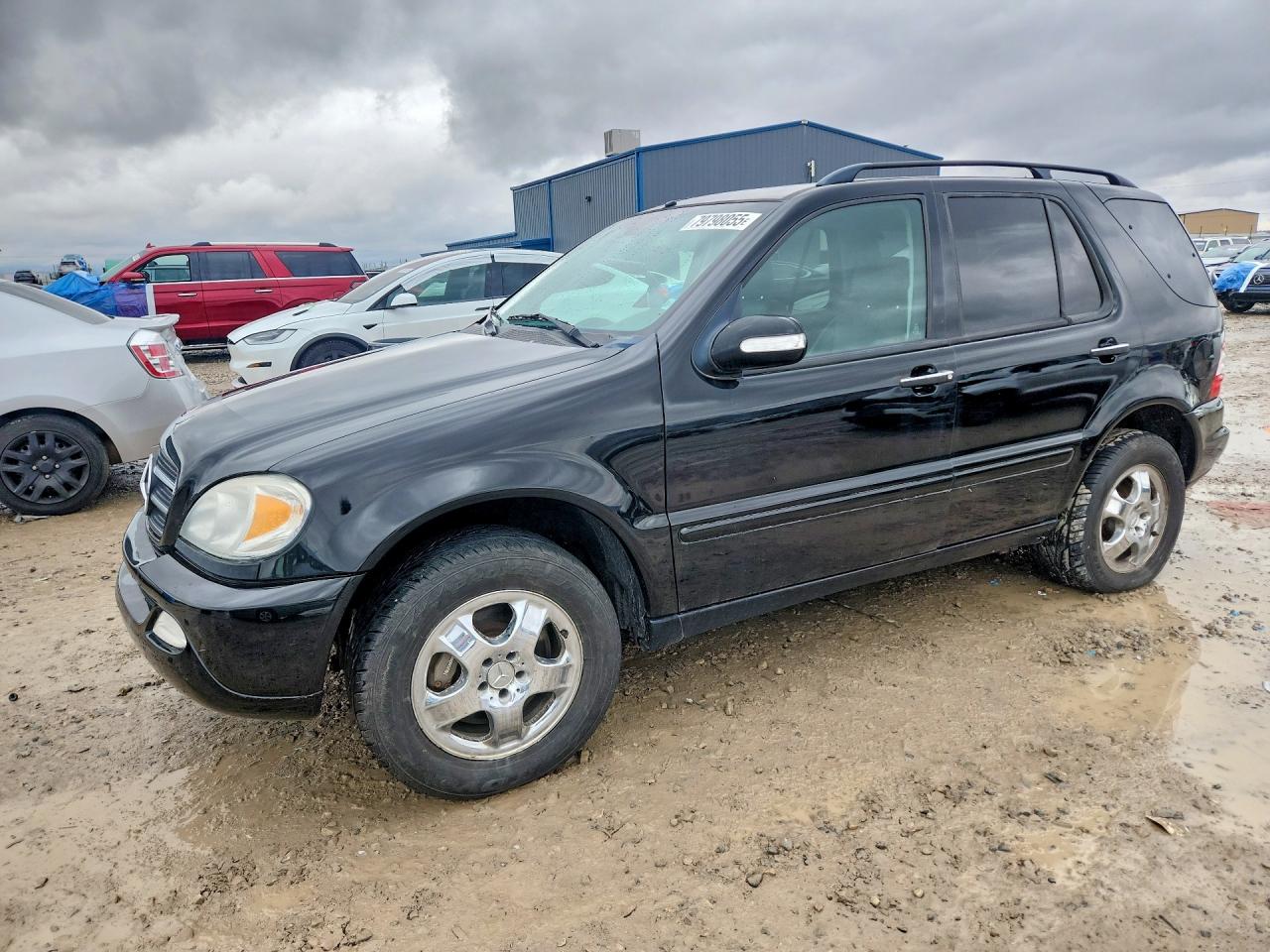 2003 Mercedes-Benz M 500, VIN 4JGAB75E93A388206 — Minor dents and scratches
