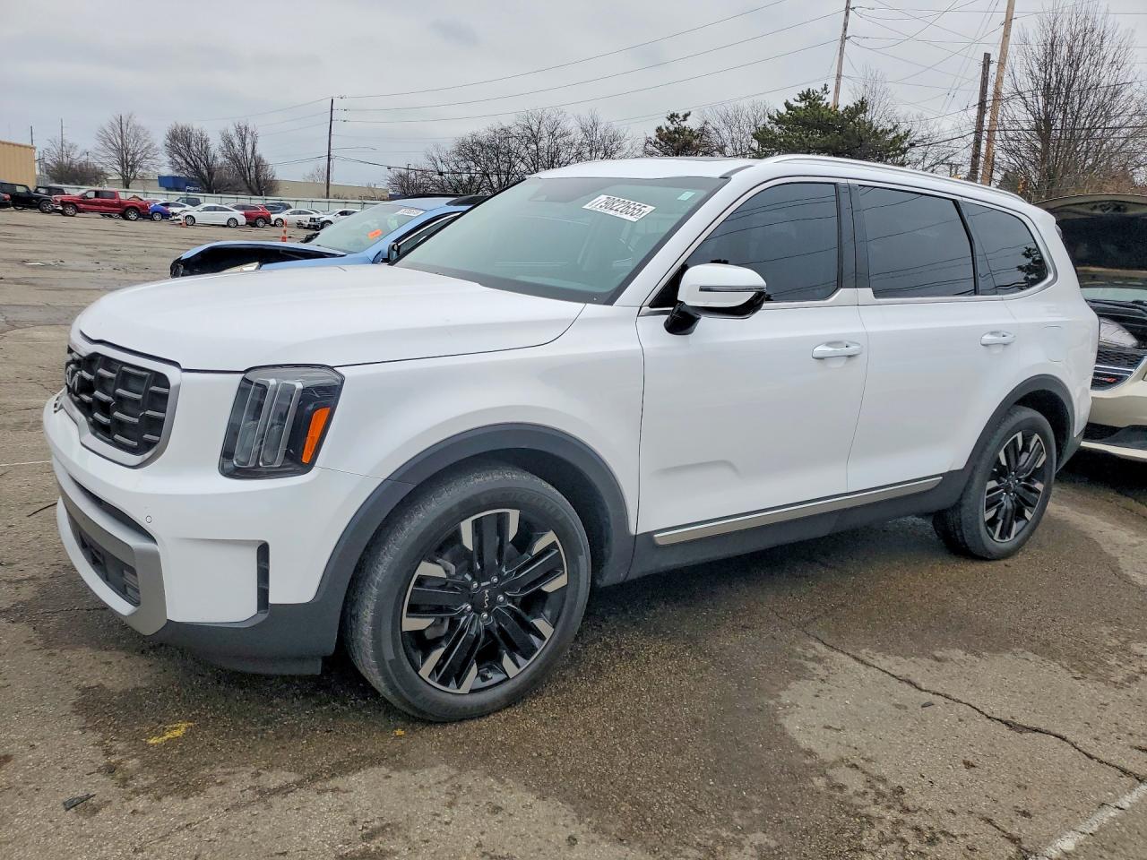 2023 Kia Telluride SX, VIN 5XYP5DGC1PG365539 — Front end