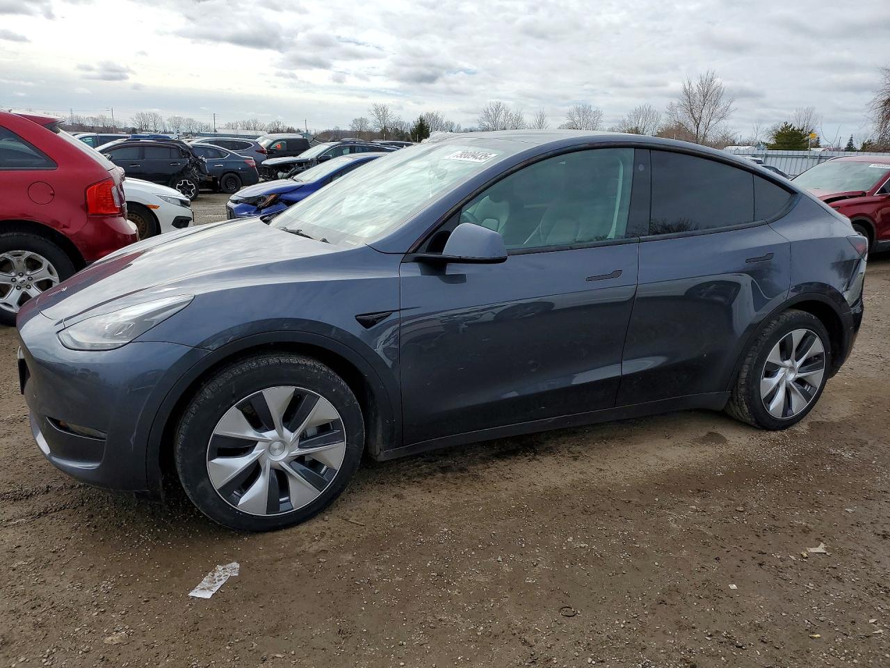 2023 Tesla Model Y Long Range, VIN 7SAYGAEE2PF608397 — Крыша