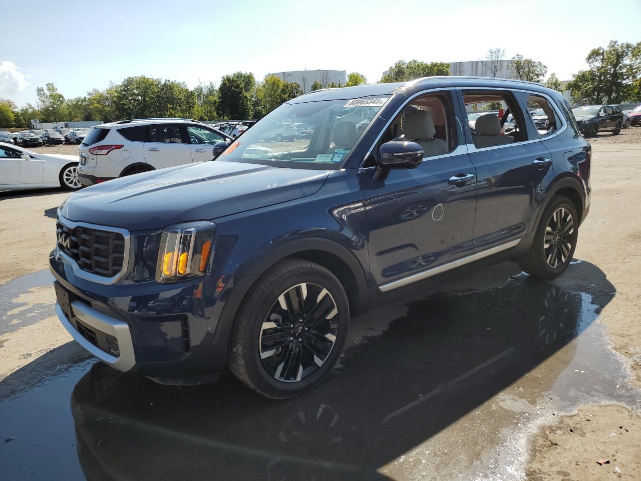 2025 Kia Telluride SX-Prestige X-Pro, VIN 5XYP5DGCXSG587425 — Vandalism
