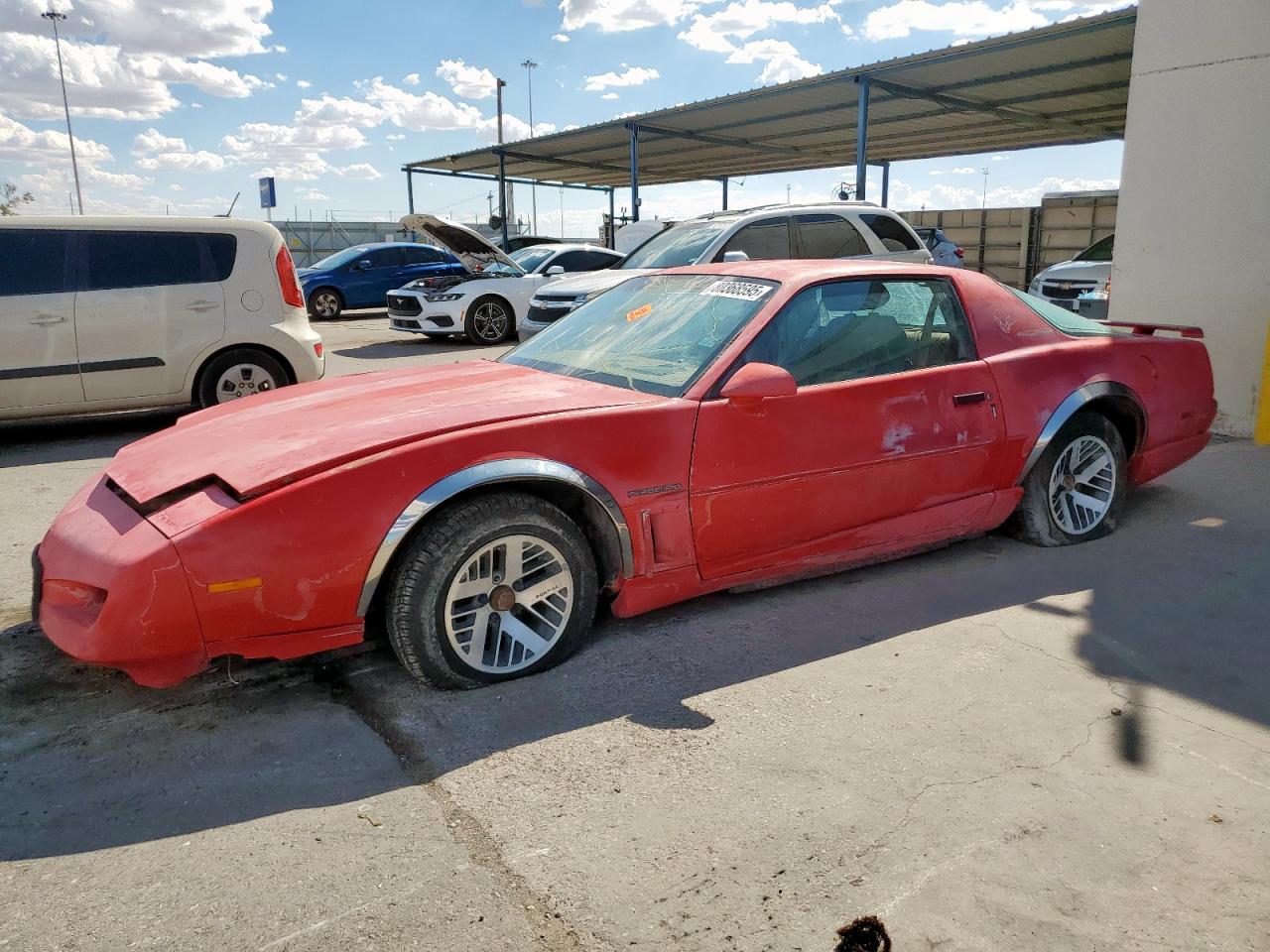 1991 Pontiac Firebird, VIN 1G2FS23T9ML238394 — Front end