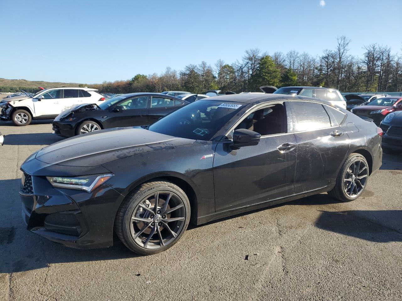 2023 Acura TLX w/A-Spec Package, VIN 19UUB6F59PA005124 — Missing or altered VIN