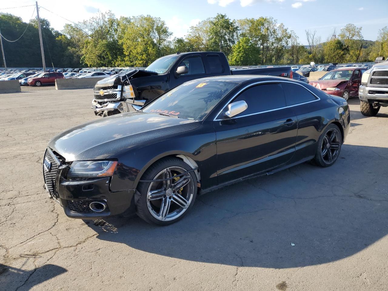 2010 Audi S5 Premium Plus, VIN WAUCVAFR1AA061697 — Front end