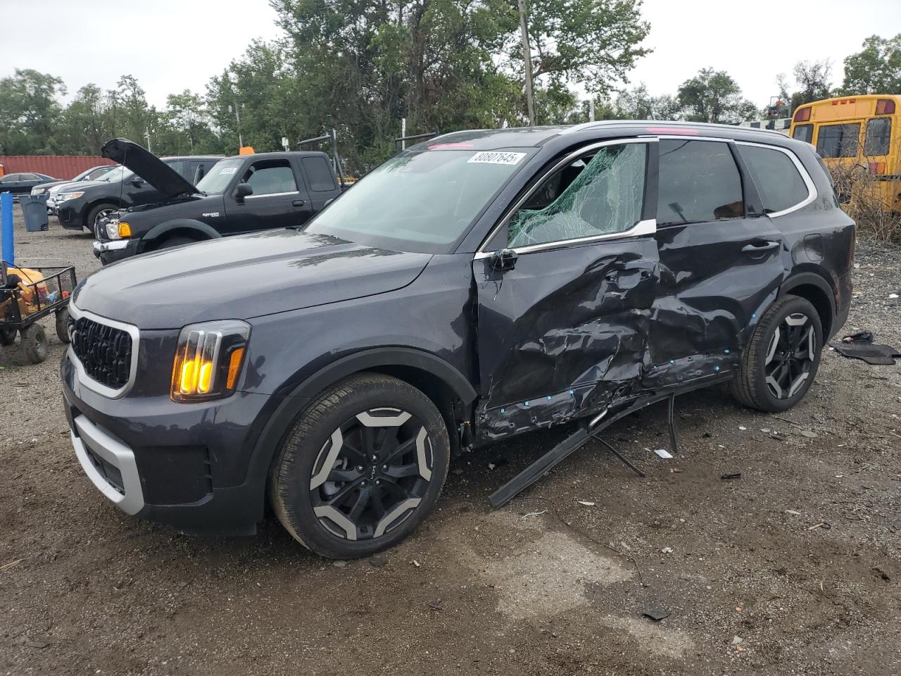 2025 Kia Telluride EX, VIN 5XYP3DGC8SG601389 — Бок