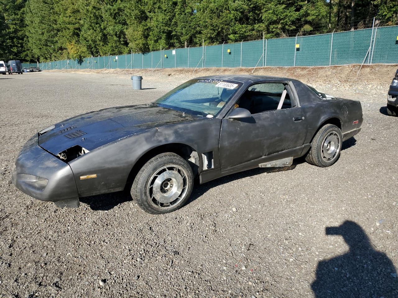 1991 Pontiac Firebird, VIN 1G2FW23F4ML213109 — Minor dents and scratches
