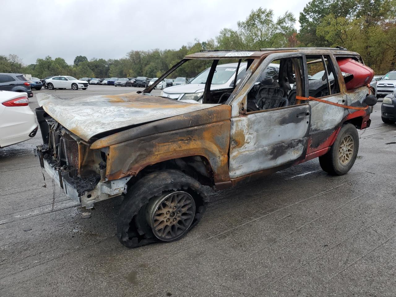 1994 Jeep Grand Cherokee Limited, VIN 1J4GZ78Y5RC224636 — Burn