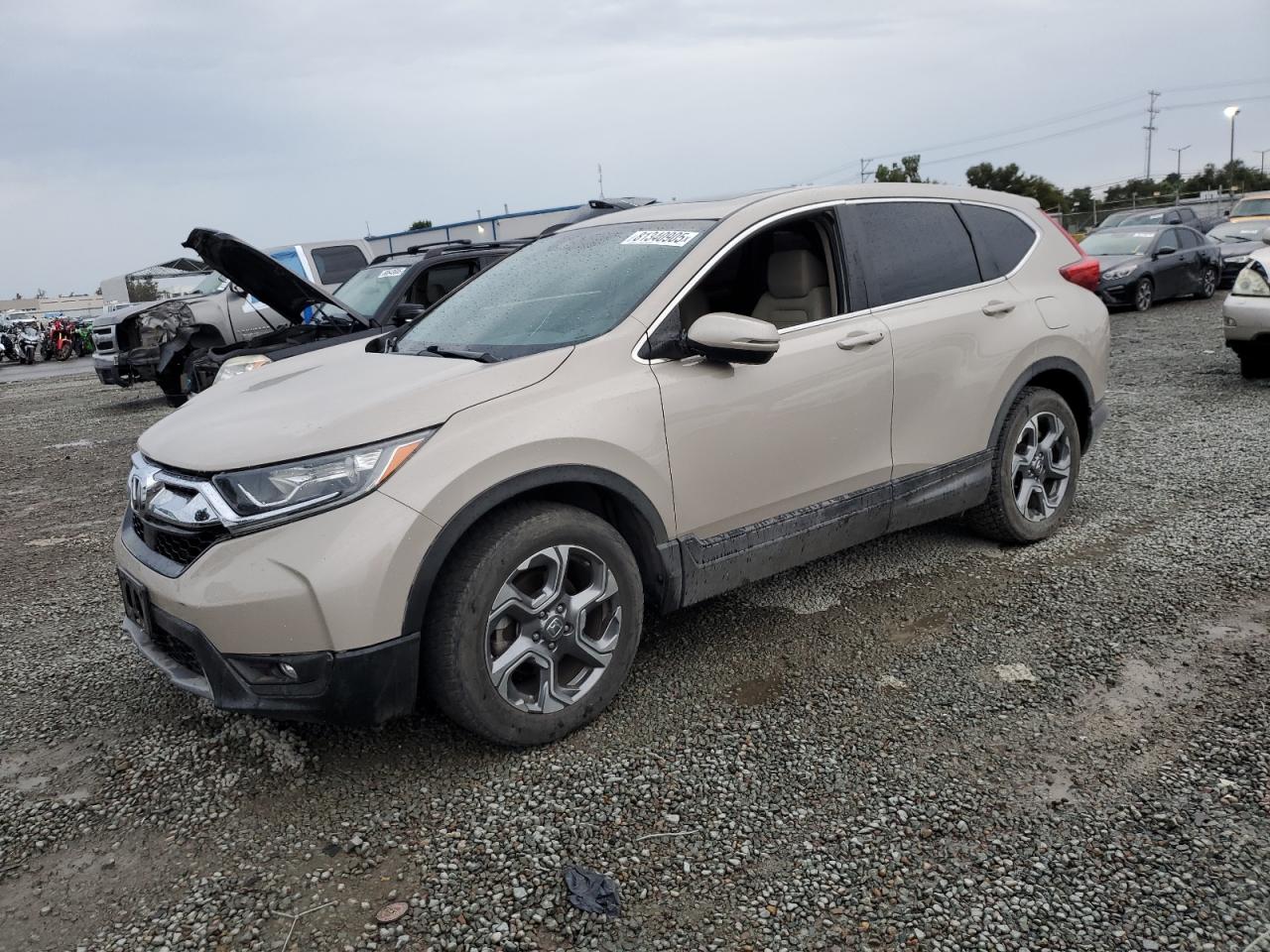 2019 Honda CR-V EX, VIN 5J6RW1H54KL001031 — Replaced VIN
