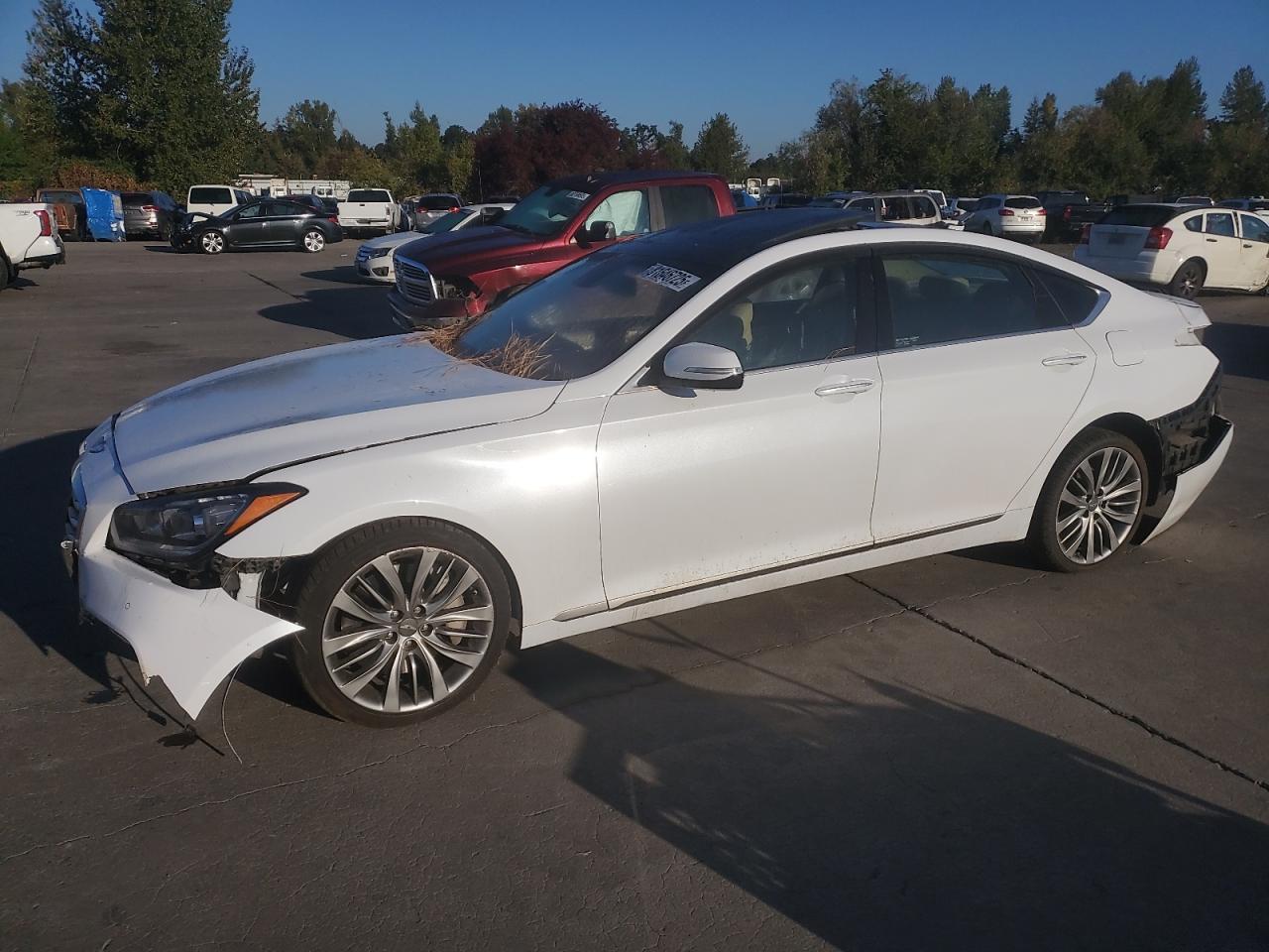 2015 Hyundai Genesis 5.0L, VIN KMHGN4JF6FU071548 — Зад