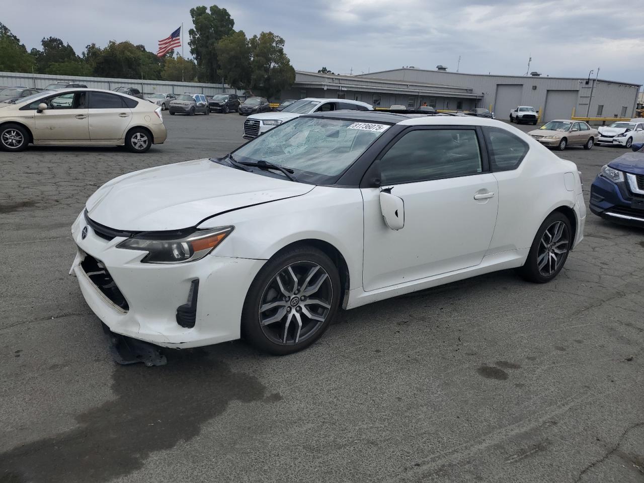 2016 Scion tC, VIN JTKJF5C70GJ016575 — Vandalism