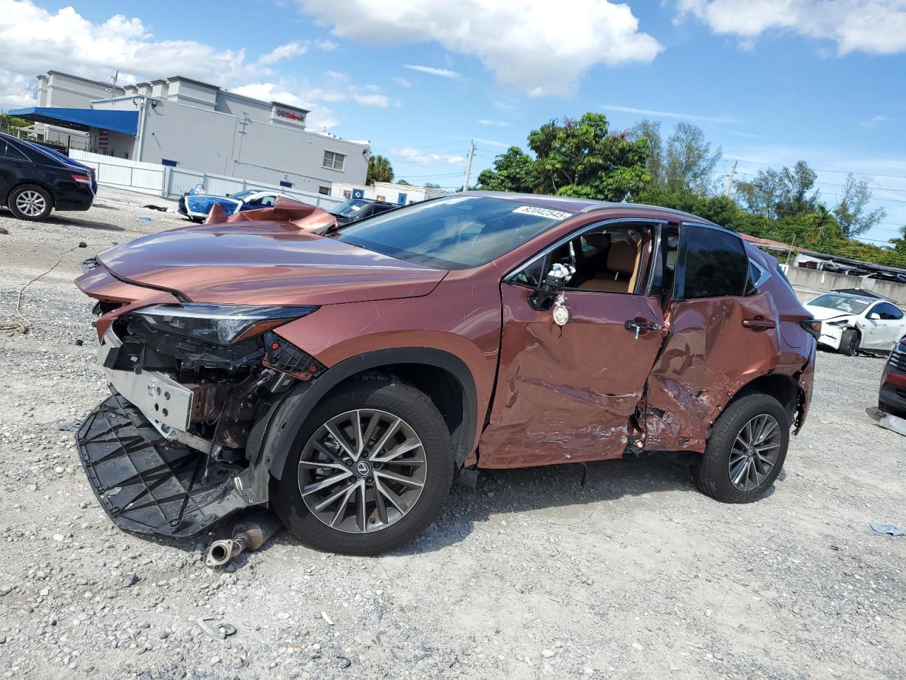 2025 Lexus NX 250, VIN 2T2ADCAZ8SC022548 — Фото с аукциона