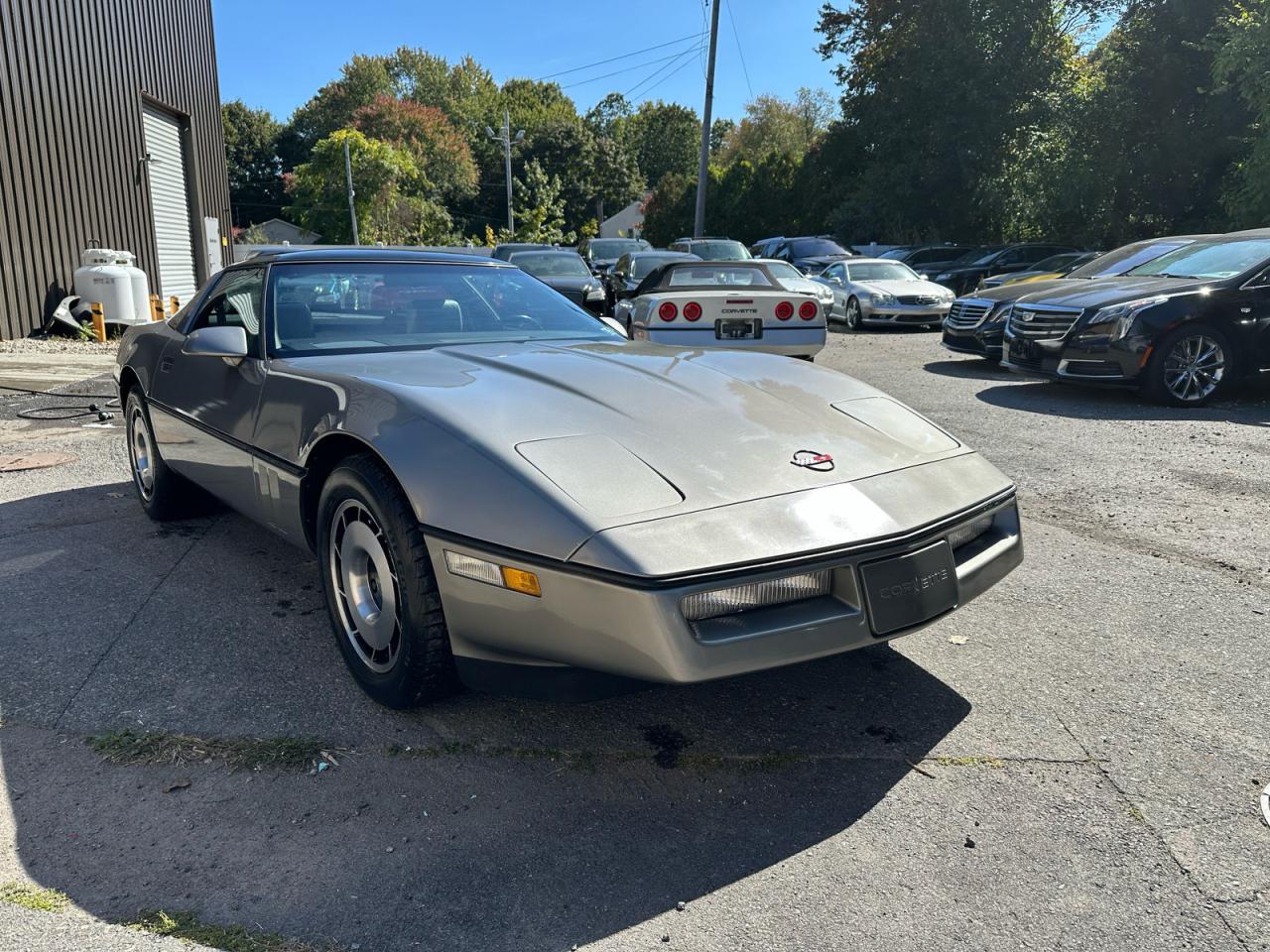 1984 Chevrolet Corvette, VIN 1G1AY0780E5147284 — Normal wear