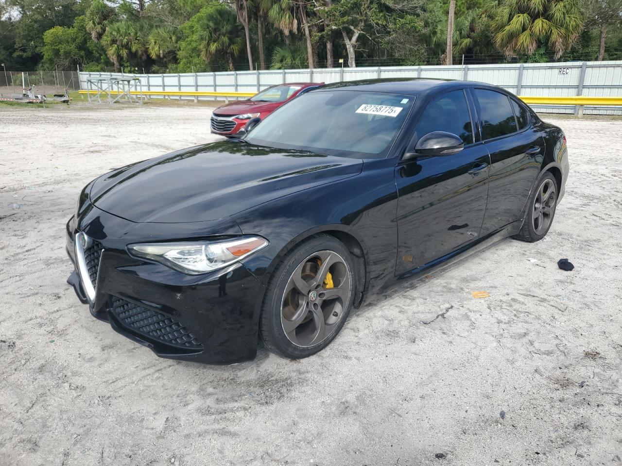 2019 Alfa Romeo Giulia, VIN ZARFAMAN8K7598220 — Вода / потоп