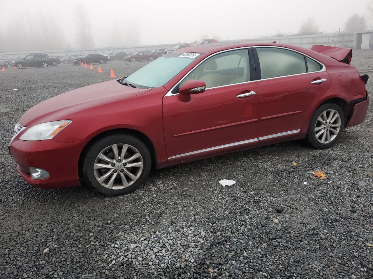 2012 Lexus ES 330, VIN JTHBK1EG6C2499540 — Зад