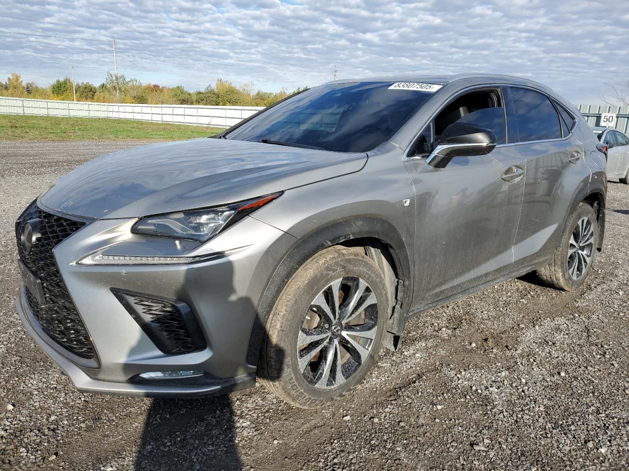 2019 Lexus NX 300, VIN JTJBARBZ4K2180187 — Side