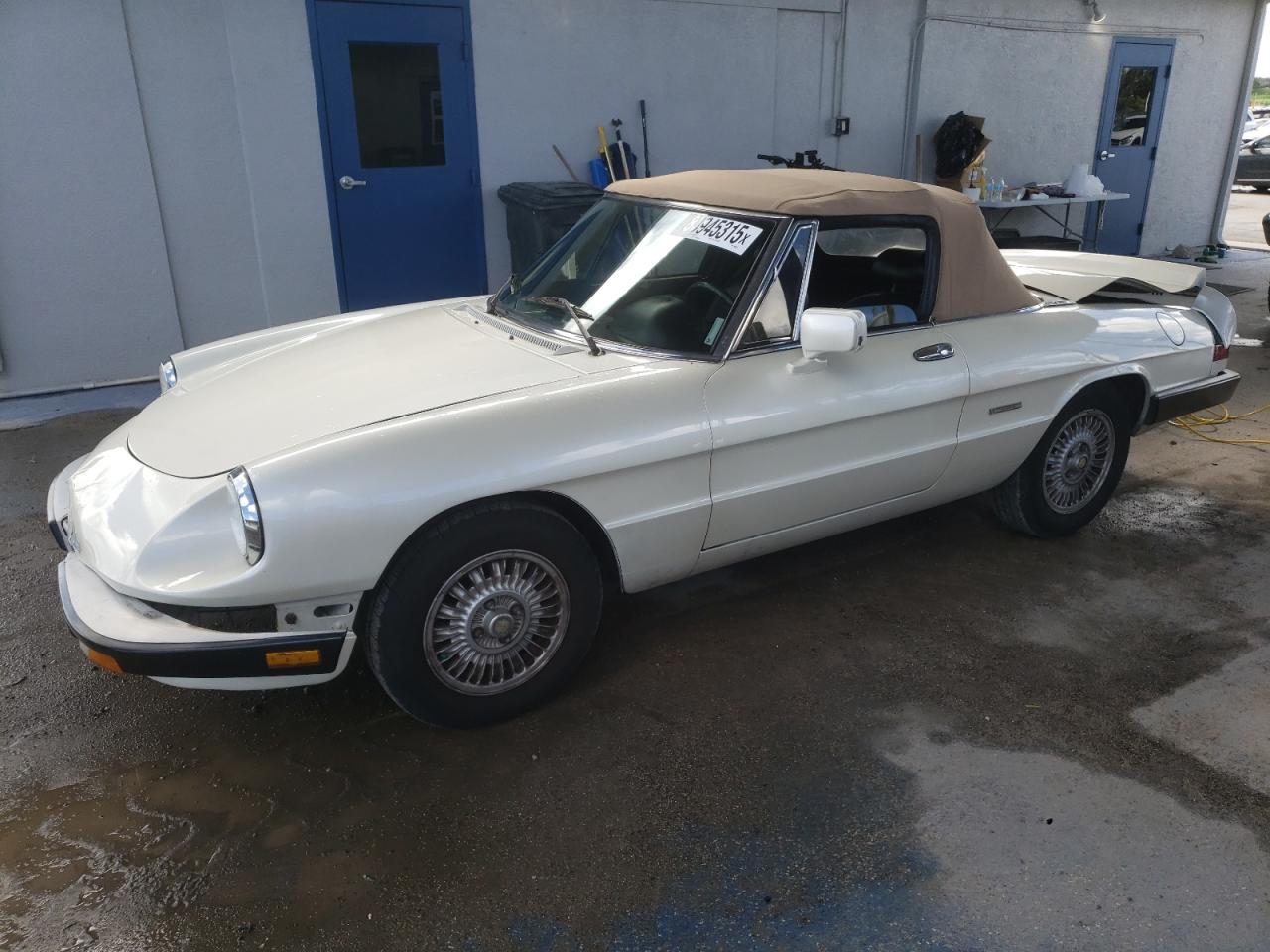 1989 Alfa Romeo Spider Graduate, VIN ZARBA5648K6000119 — Rear end