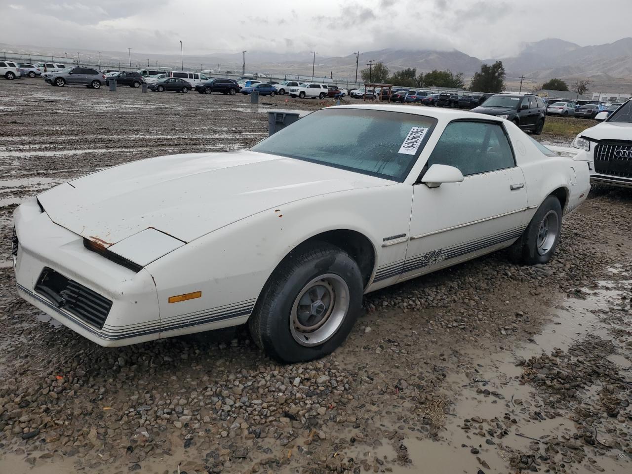 1984 Pontiac Firebird, VIN 1G2AS87HXEL227974 — Minor dents and scratches