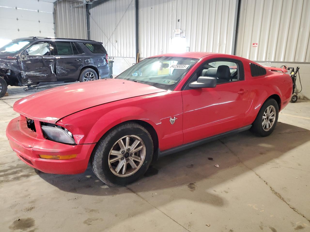 2009 Ford Mustang, VIN 1ZVHT80N995121689 — Front end