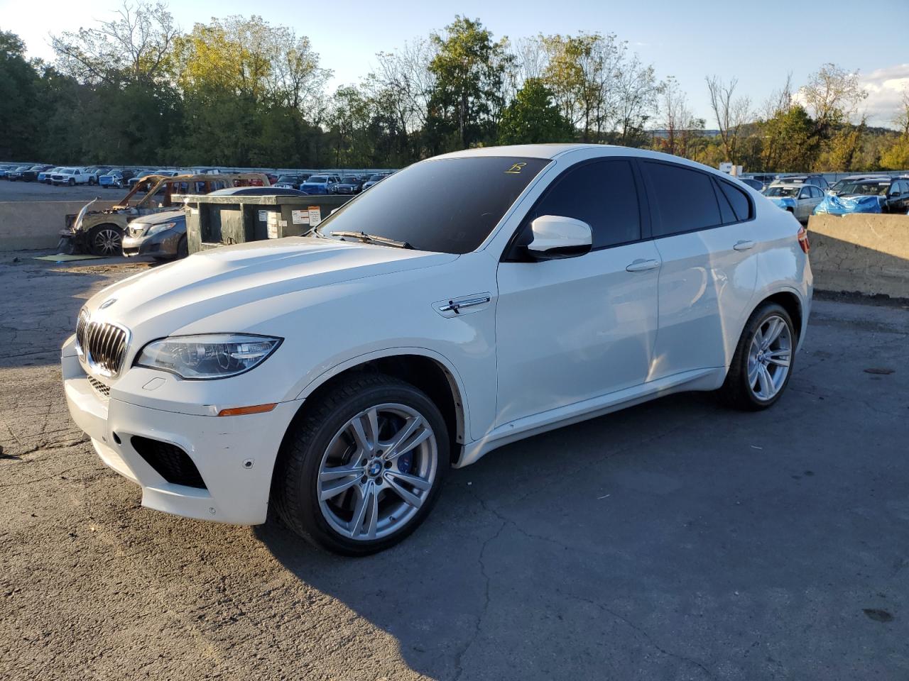 2014 BMW X6 M, VIN 5YMGZ0C53E0C40723 — Rear end