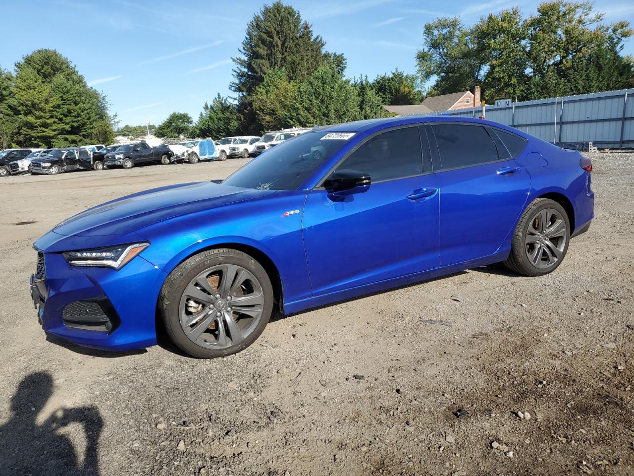 2023 Acura TLX w/A-Spec Package, VIN 19UUB6F52PA005661 — Missing or altered VIN