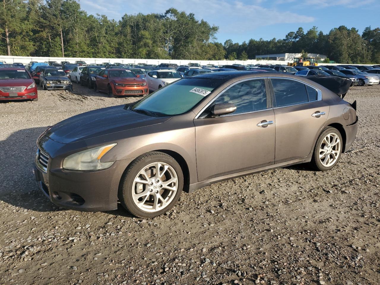 2012 Nissan Maxima SV, VIN 1N4AA5AP8CC837033 — Зад