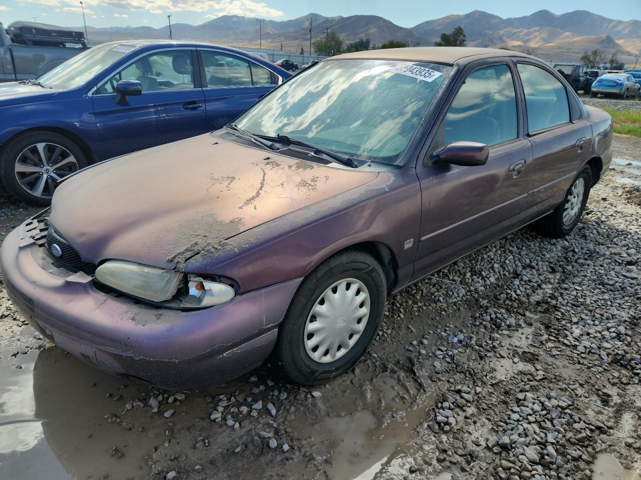 1996 Ford Contour, VIN 1FALP65L2TK163889 — Front end