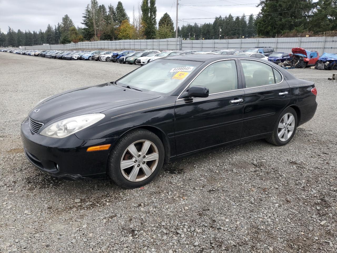 2005 Lexus ES 350, VIN JTHBA30G455120719 — Auction photo