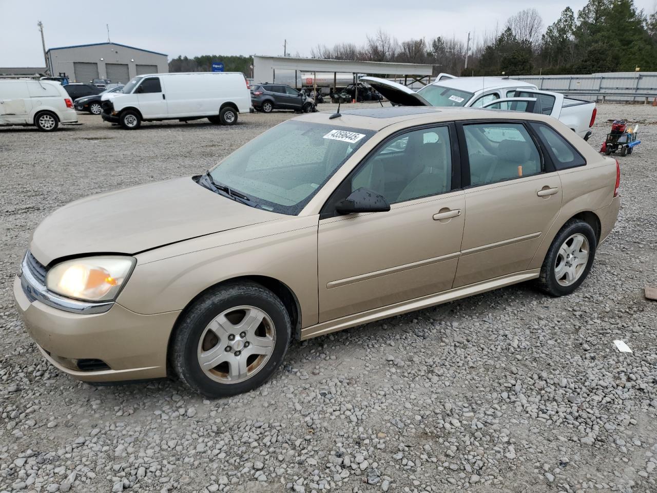 2004 Chevrolet Malibu Maxx LT, VIN 1G1ZU64814F218992 — Rear end