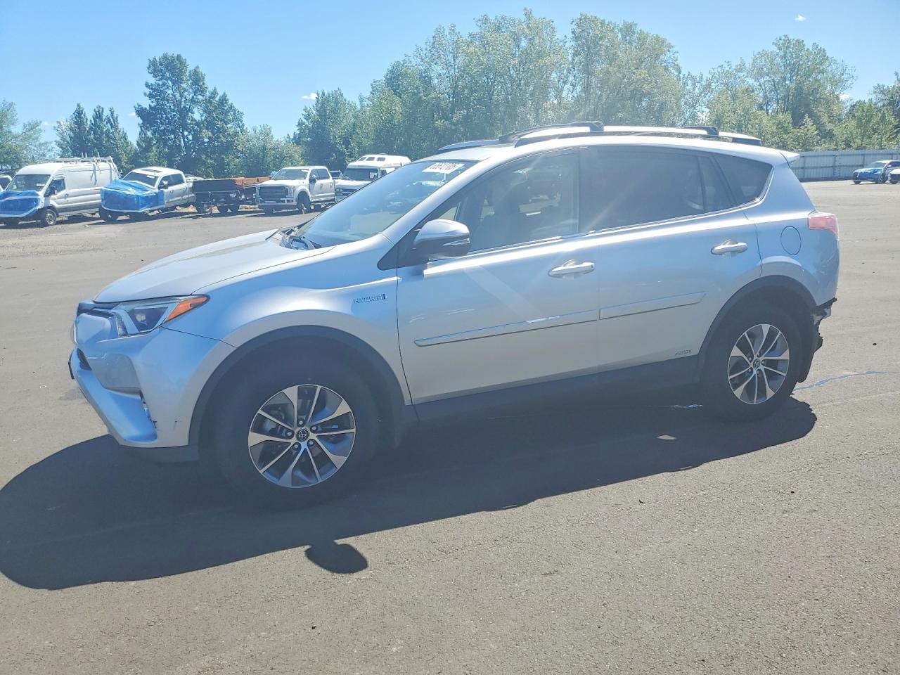 2016 Toyota RAV4 XLE, VIN JTMRJREV6GD043824 — Rear end
