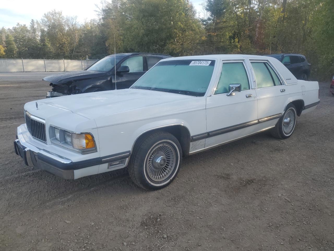 1991 Mercury Grand Marquis, VIN 2MECM75F7MX656161 — Side