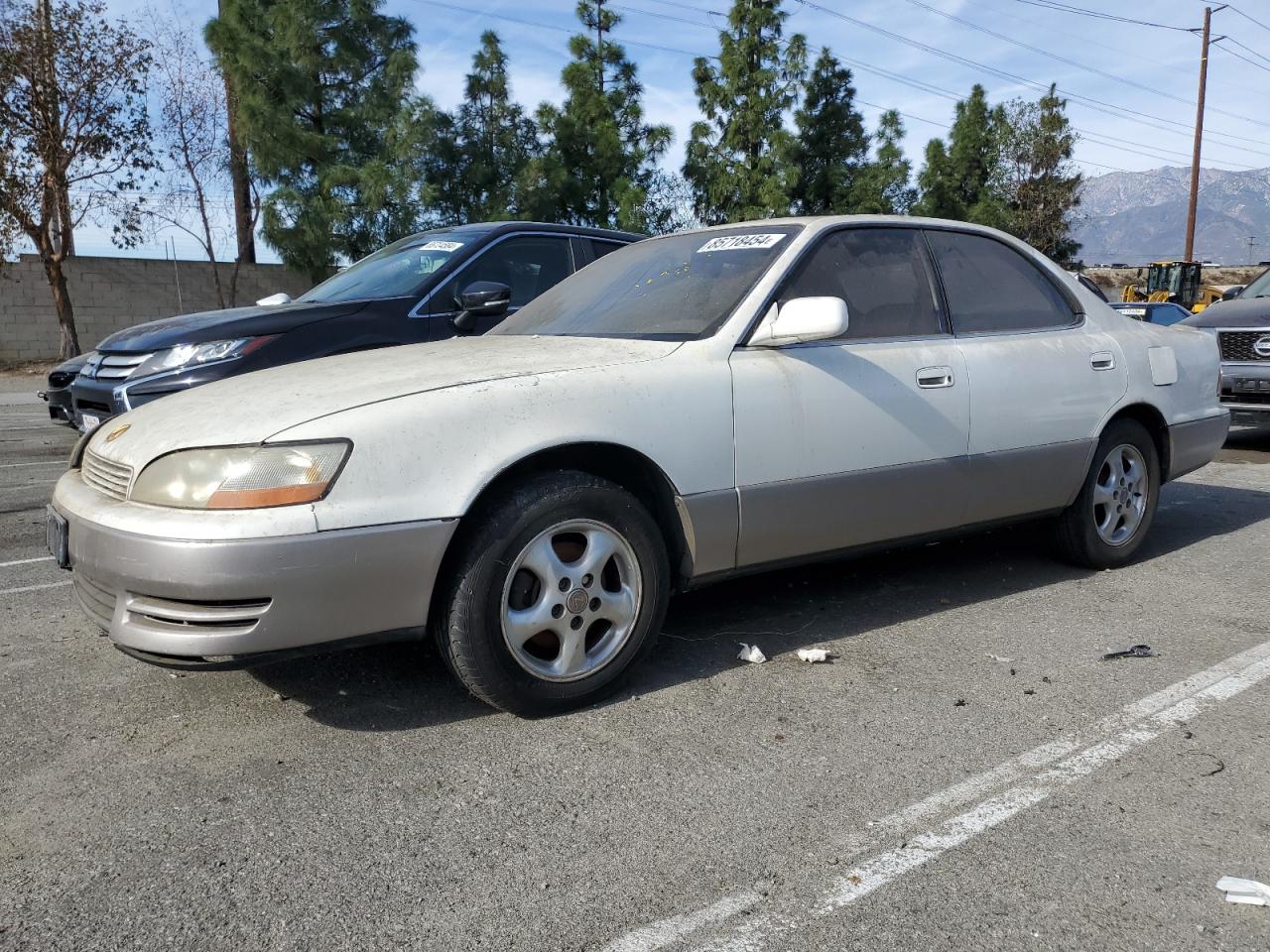 1993 Lexus ES 300, VIN JT8VK13T2P0216808 — Мелкие вмятины и царапины