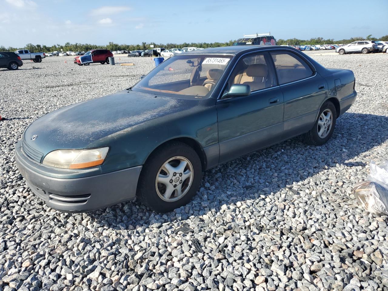1996 Lexus ES 300, VIN JT8BF12GXT0140227 — Зад