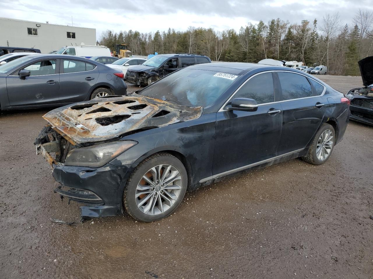 2015 Hyundai Genesis 3.8L, VIN KMHGN4JE3FU043598 — Engine fire