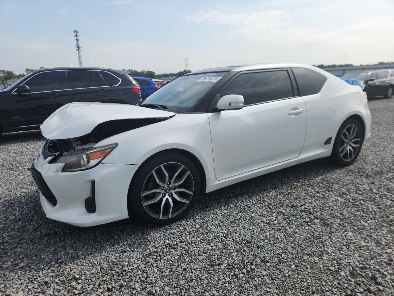 2015 Scion tC, VIN JTKJF5C77F3089591 — Front end