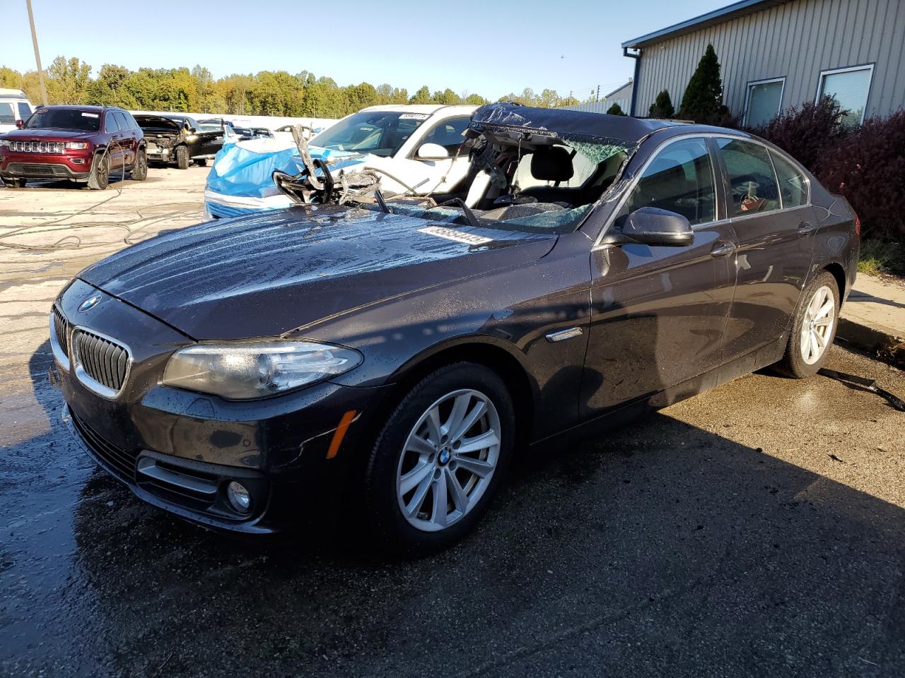 2015 BMW 5 Series 528i xDrive, VIN WBA5A7C58FD622783 — Крыша