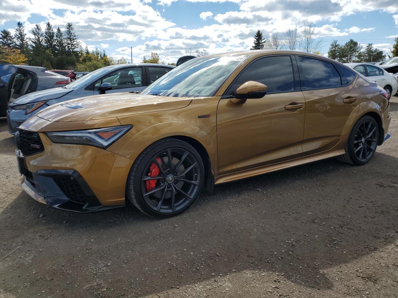 2024 Acura Integra Type S, VIN 19UDE5G9XRA800303 — Prior damage history