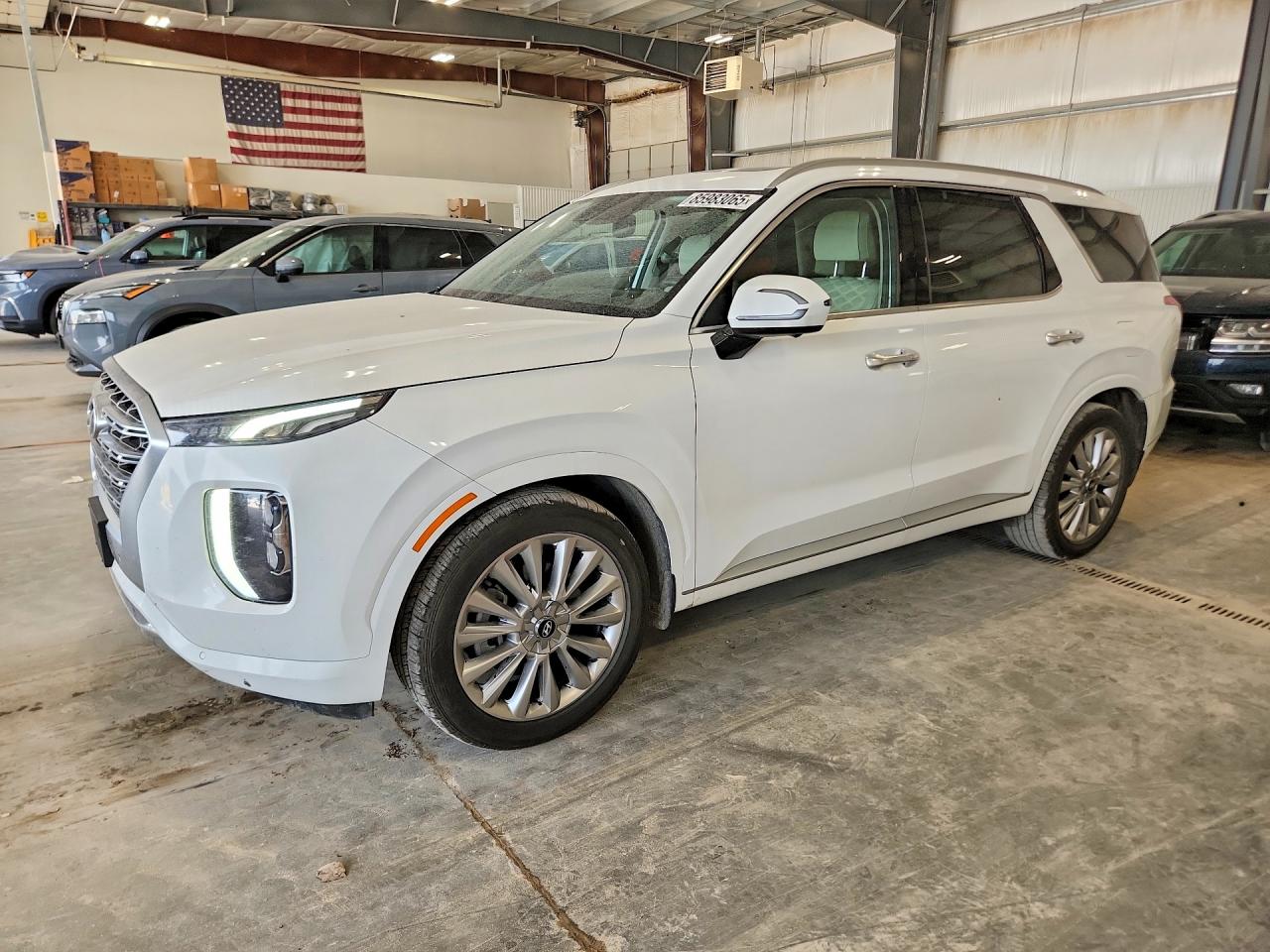 2020 Hyundai Palisade Limited, VIN KM8R5DHE3LU092164 — Side