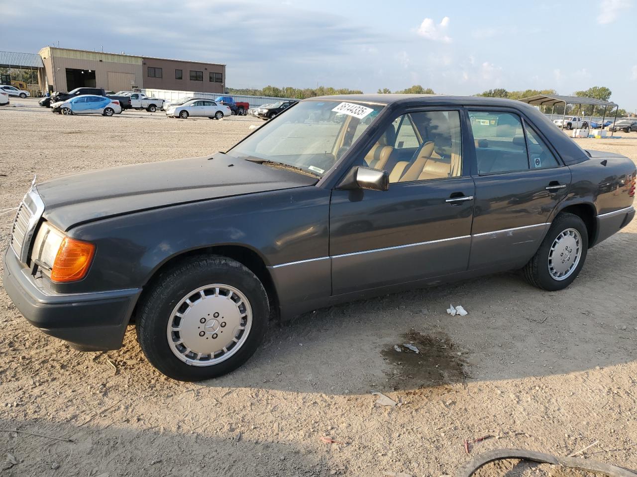 1992 Mercedes-Benz 300, VIN WDBED30E9NB632464 — Minor dents and scratches
