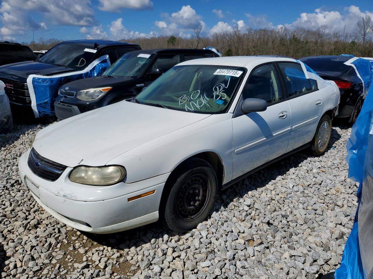 2005 Chevrolet Malibu Classic, VIN 1G1ND52F75M162211 — Биологическое загрязнение