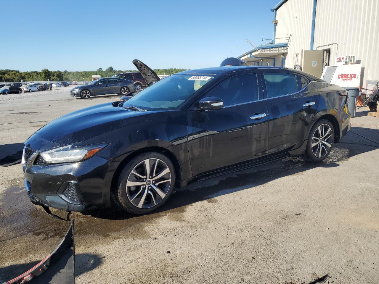 2019 Nissan Maxima SV, VIN 1N4AA6AV0KC384271 — Missing or altered VIN